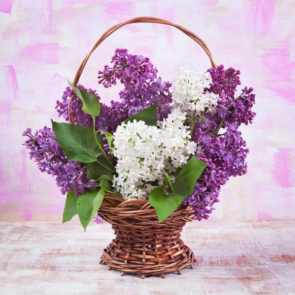 Lilac on a beautiful background — Stock Photo, Image