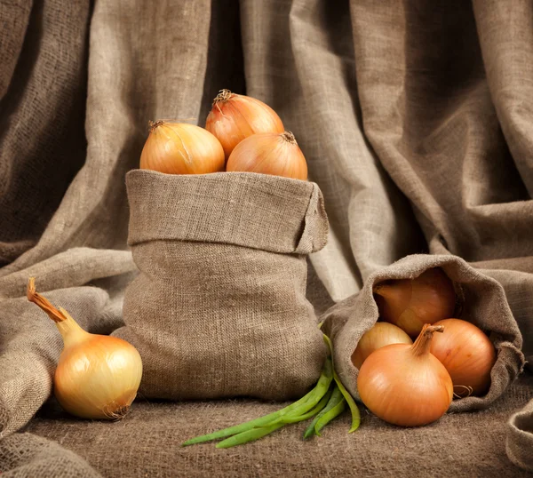 Hermosas cebollas maduras en bolsas de tela gruesa —  Fotos de Stock