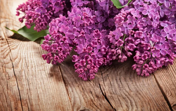 Le beau lilas sur les vieilles planches — Photo