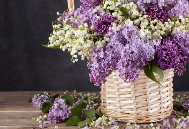 demet leylak eski kurulları