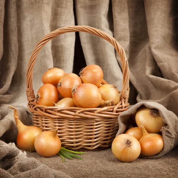 The beautiful and ripe onions in a basket — Stock Photo, Image