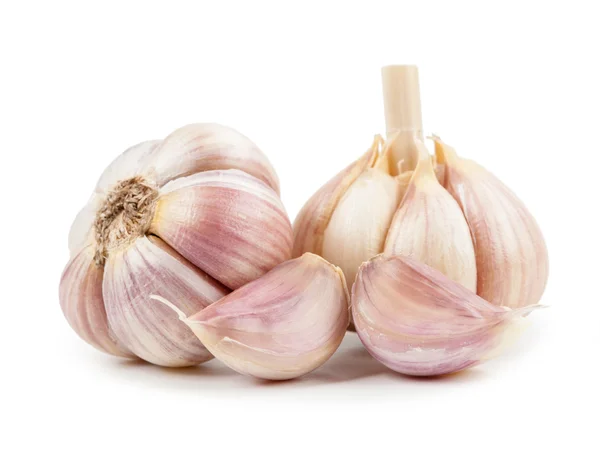 Knoblauch isoliert auf weißem Hintergrund — Stockfoto