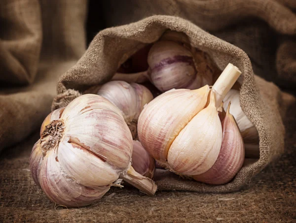 Duftender reifer Knoblauch in einem Beutel groben Tuchs — Stockfoto