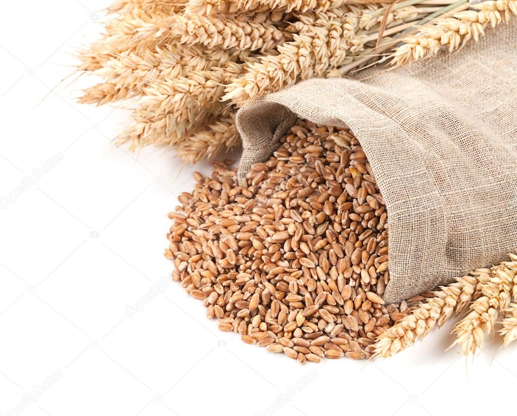 Wheat in a sack and ears on a white background isolated