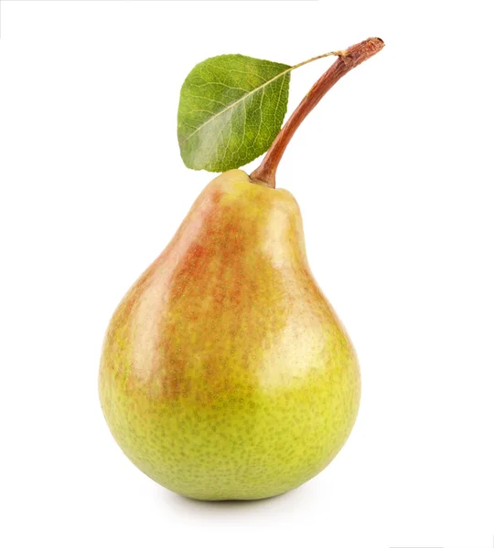 Pear diisolasi di latar belakang putih — Stok Foto