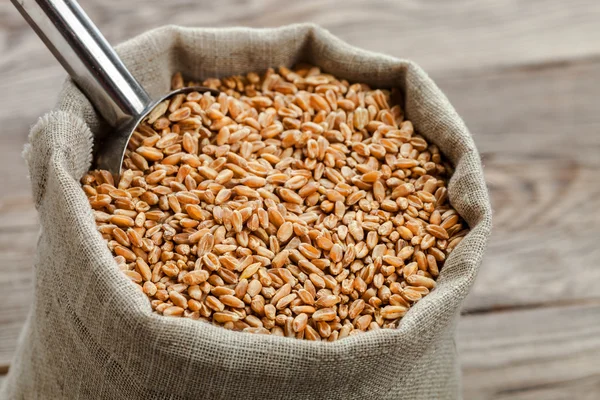 Спелая пшеница в мешке на досках — стоковое фото
