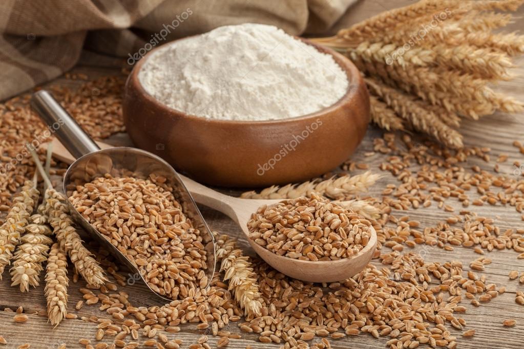 Fotos de Otoño, Planta, Entero, Centeno, Naturales - Imagen de