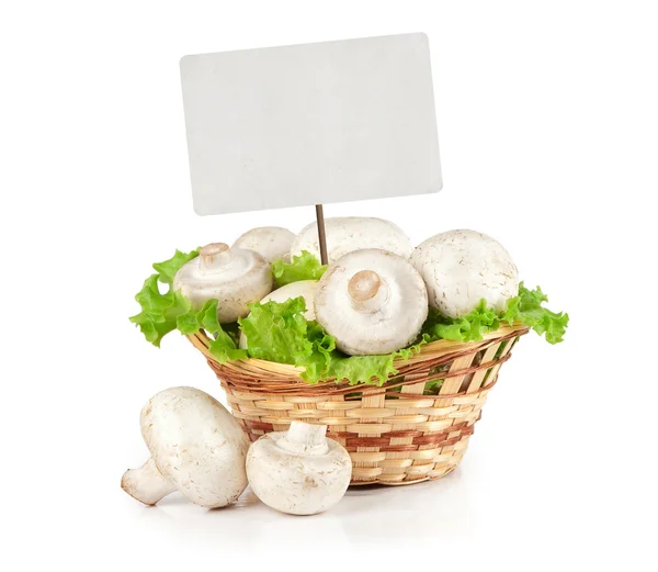 Champignons e tag di vendita in bianco — Foto Stock