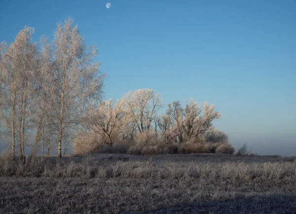 ロシアの早い霜 — ストック写真