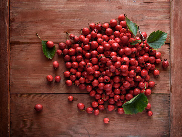 Rose hip. Briar on wooden background