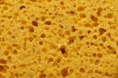 Bulaşık ya da banyo için sünger. Arkaplan ve doku