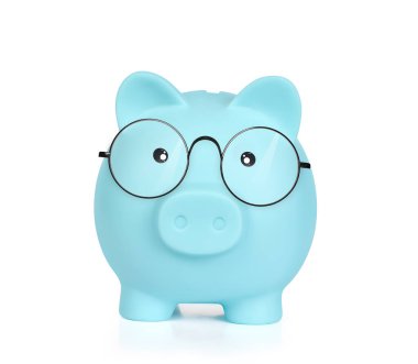 Mavi kumbara beyaz arka planda izole edildi