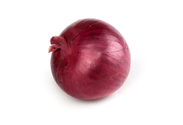 Izole kırmızı soğan — Stok fotoğraf