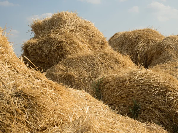 Heno y pacas de paja — Foto de Stock