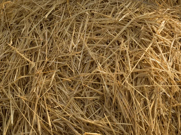 Texture hay — Stock Photo, Image