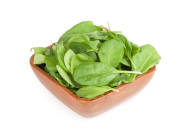 taze ıspanak yaprakları