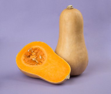 Balkabagi