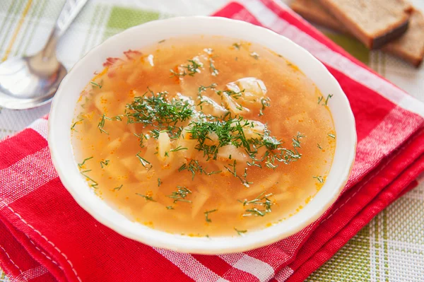 Cabbage soup. Russian traditional dish