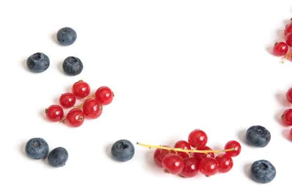 Red currant and blueberry — Stock Photo, Image
