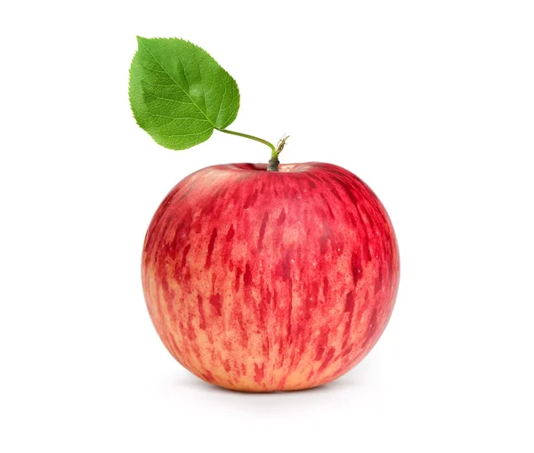 Rode appel op witte achtergrond — Stockfoto