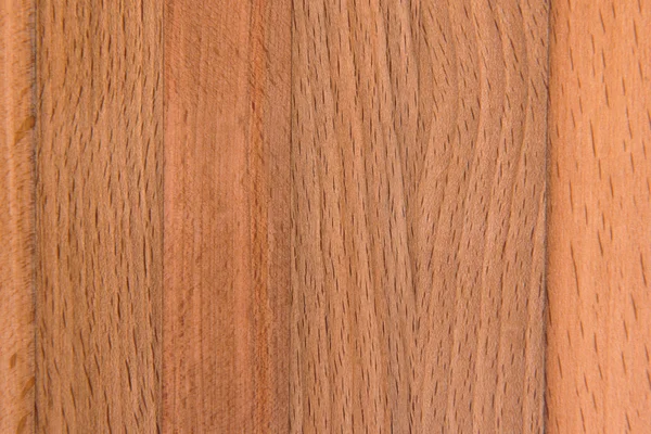 Textura de madera de haya — Foto de Stock