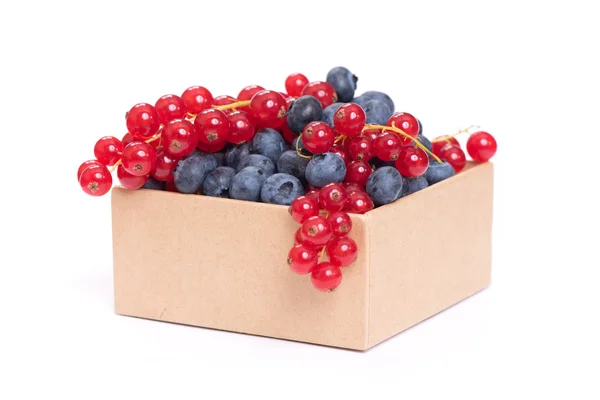 Red Currant and blueberry — Stock Photo, Image