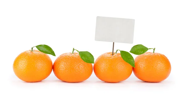 Świeży pomarańczowy mandarynki z ceną — Zdjęcie stockowe