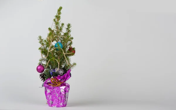 Kleine kerstboom — Stockfoto