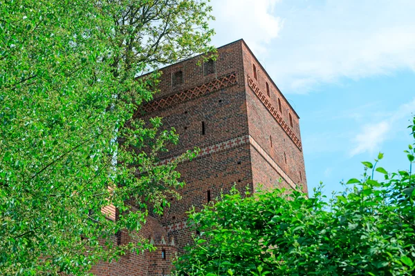 Šikmá věž v Torun, Polsko — Stock fotografie