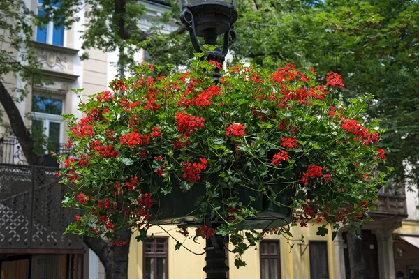 Lampadaire avec paniers à fleurs suspendus — Photo
