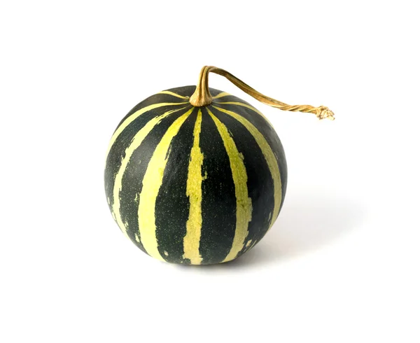 Green striped pumpkin isolated on white background — Stock Photo, Image