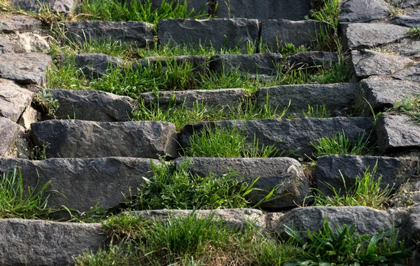 Eski kale taş basamaklar — Stok fotoğraf