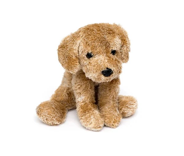 Cute puppy toy shot on white — Stock Photo, Image