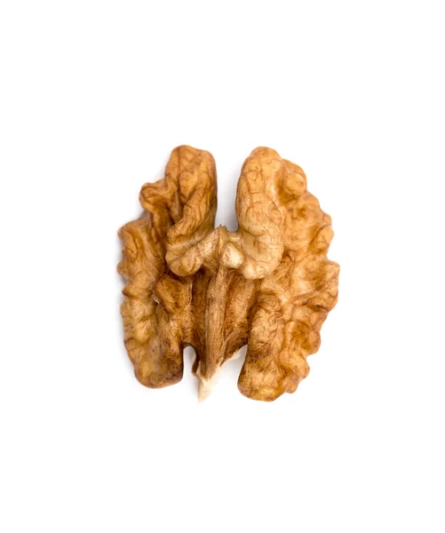 Kernel walnut isolated on the white background closeup — Stock Photo, Image