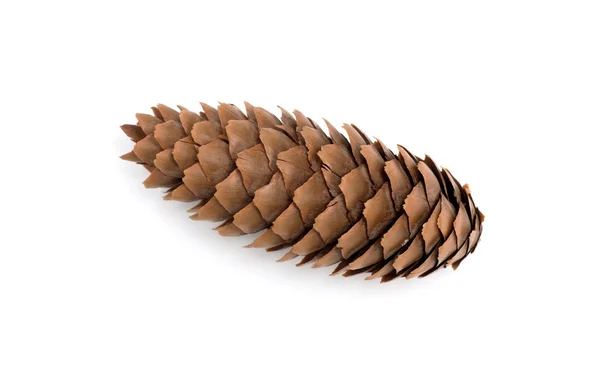 Pine tree cone isolated on white. Christmas decoration. — Stock Photo, Image