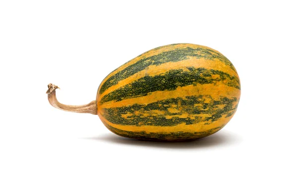 Striped ornamental pumpkin on a white background — Stock Photo, Image