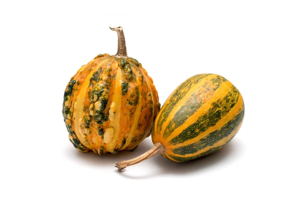 Decorative pumpkin isolated on white background. Halloween and h — Stock Photo, Image