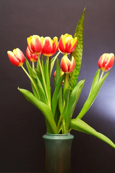 Bloemen in vaas — Stockfoto