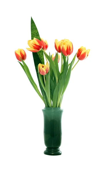 Tulipanes en florero — Foto de Stock