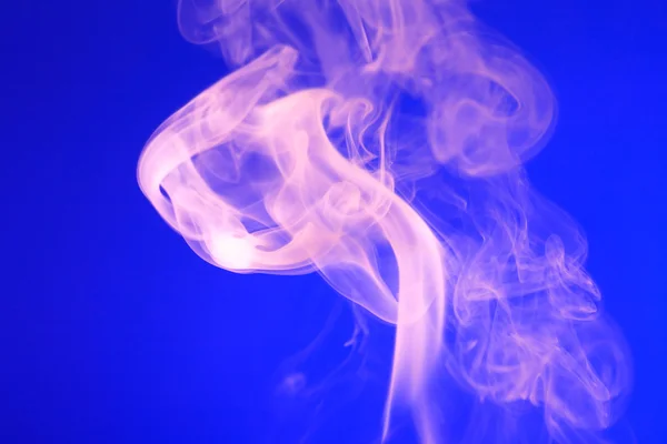 Růžový kouř na modré — Stock fotografie