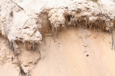 Güzel kum arka plan