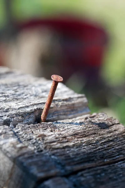 Oude roestige spijker — Stockfoto