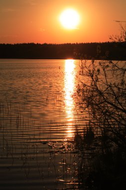 Orman göl günbatımı