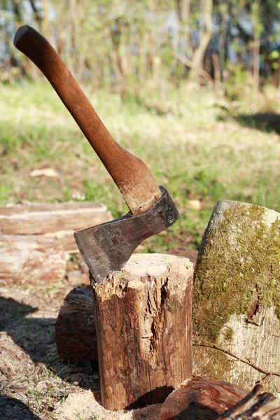 薪のフォレストの分割 — ストック写真