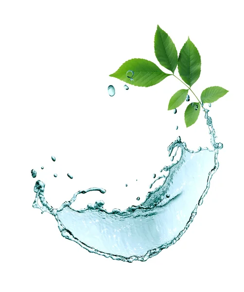 Wasserspritzer und Blätter — Stockfoto