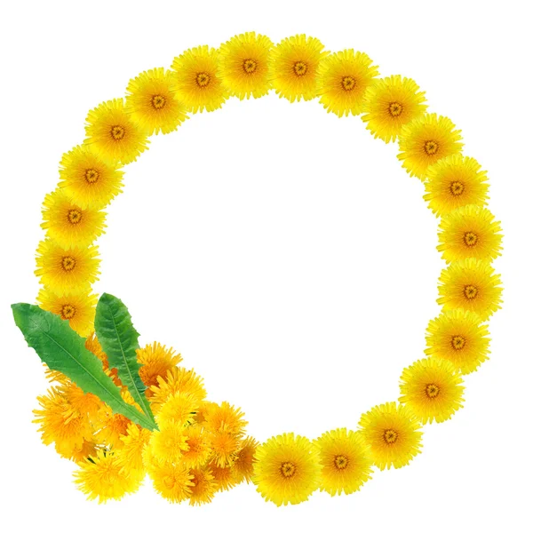 Yellow Dandelions Wreath — Stock Photo, Image