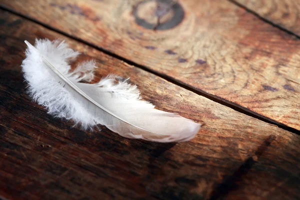 Feather On Wood — Stock Photo, Image