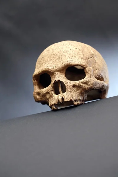 Skull On Dark — Stock Photo, Image