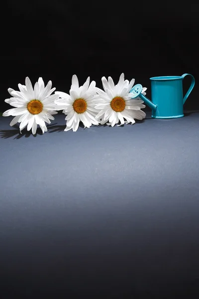 Watering Can Near Flowers — Stock Photo, Image