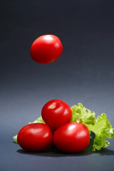 Tomaten auf dunklem — Stockfoto